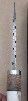 spine shot.jpg
