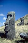 moai-statues-03-500.jpg