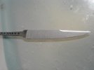 DSC02681 (Medium).JPG
