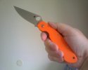 Orange Millie.jpg