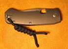 Spyderco Slysz Bowie2.jpg