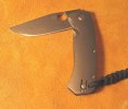 Spyderco Slysz Bowie3.jpg