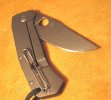 Spyderco Slysz Bowie4.jpg