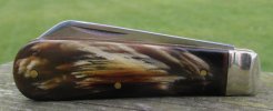 AWSFO 40-8.JPG