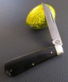 AW Ebony Lambsfoot 24-4.JPG