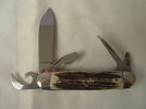 Stag Scout 035.JPG