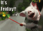 C615C3A4-550A-4B64-854C-622E222B67AB.gif