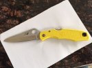 Pacific Salt Yellow PE.L.jpg