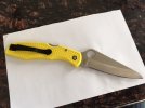 Pacific Salt Yellow PE.R.jpg