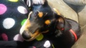 20180408_1101381.jpg