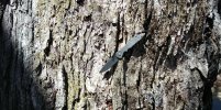 IMG_20180409_120949~3.jpg