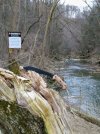 BK4-trail.jpg