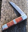 Maserin Filiscjna 1-2S.jpg