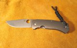 Slysz Bowie mine 300 G&S.jpg