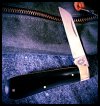AW Ebony Lambsfoot 25-8.JPG