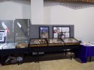 RIMG1338.JPG