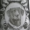 DSCN1544.JPG