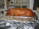 IMG_0906.jpg