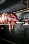 pig roast 008.jpg
