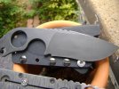 striders 010.jpg