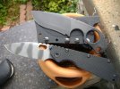 striders 007.jpg