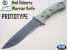 CR Proto 2521.jpg