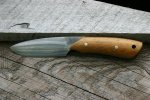 IMG_2569_.jpg