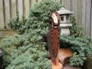 Gallery Pictures 001.jpg