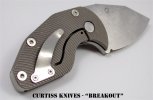 Breakout pic 10.jpg