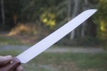 carver6.jpg