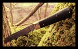 AW Ebony Lambsfoot 23-2.JPG