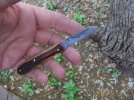 stag slip joint 015.JPG stag slip joint 015.JPG