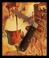 AW Ebony Lambsfoot 26-6.JPG