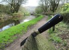 AW Ebony Lambsfoot 27-2.JPG