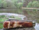 A.Wright SB Large Lambsfoot 4-7.JPG