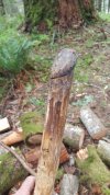 20180420_112454.jpg