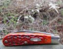 Case Swayback Jack 2-2.JPG