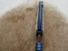musk ox gents 018.JPG
