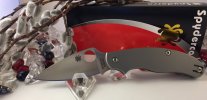 UKPK Titanium.JPG