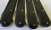 Ebony Samples Mark.JPG