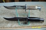 119 stag1.jpg