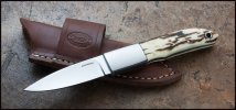 Stiff-Horn-1.jpg