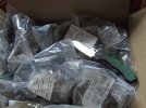 DSCF9716 BOTANUS BOX 27 CORMS PLUGS BUCK 650 MED.jpg DSCF9716 BOTANUS BOX 27 CORMS PLUGS BUCK 650 MED.jpg