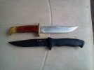 Buck119and650.jpg
