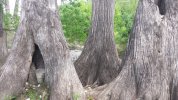 20180429_151526.jpg