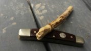 Bandera Boker Carvers Congress 3.jpg