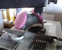 IMG_20180501_095500~2.jpg