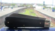 AW Ebony Lambsfoot 28-8.JPG