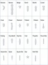 GEC-SHIELDS-761x1024[1].jpg