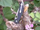 New%20and%20improved%20low%20rider%20for%20BenchMades.jpg